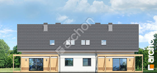 Дворовой фасад Дом в хлорофитуме (АР2)