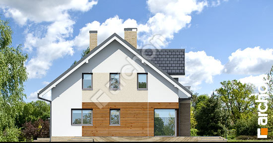 Дворовий фасад Будинок в тим'яні 5 TERMO вер.2