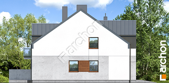 Боковой фасад Дом под гинко 16 (ГР2)