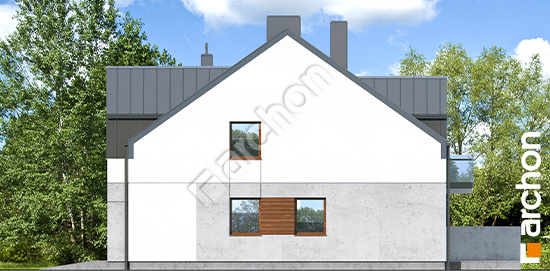 Боковой фасад Дом под гинко 16 (ГР2)