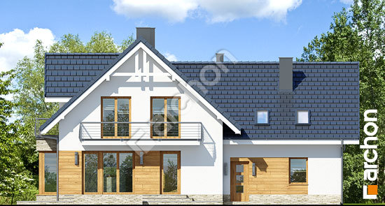 Дворовий фасад Будинок в тамариску 2 (Г2Н)