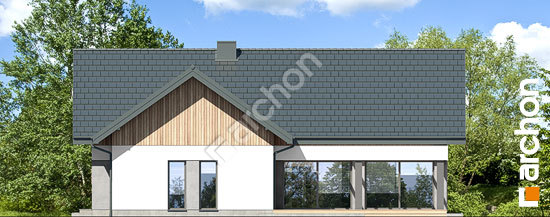 Дворовий фасад Будинок в первоцвітах 12 (Г2)