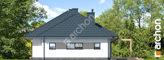 Боковой фасад Дом в сантолинах 4