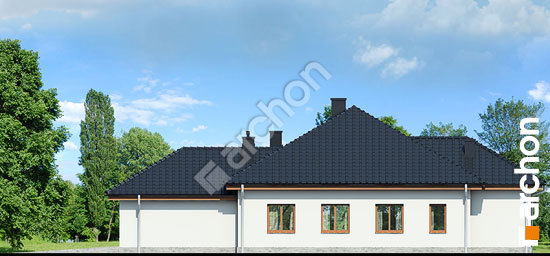 Боковой фасад Дом в настурциях вер.2