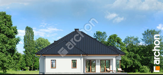 Дворовий фасад Будинок в настурціях вер.2