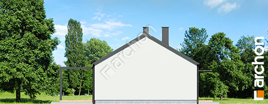 Боковой фасад Дом в ирисе 3 (Н) ВИЭ