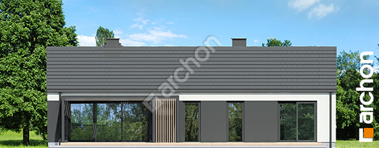 Дворовий фасад Будинок в ірисах 3 (Н) ВДЕ