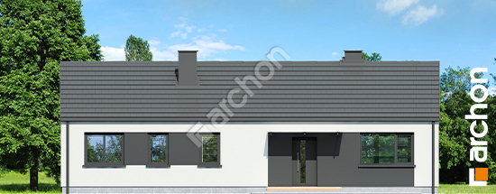 Передній фасад Будинок в ірисах 3 (Н) ВДЕ