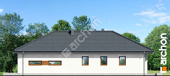 Бочний фасад Будинок під какао вер.2