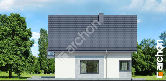 Боковой фасад Дом в медовниках 3