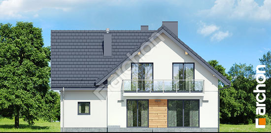 Дворовий фасад Будинок в медовниках 3