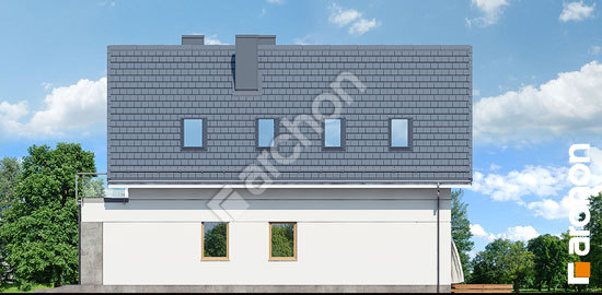 Бочний фасад Будинок під хікорою 3