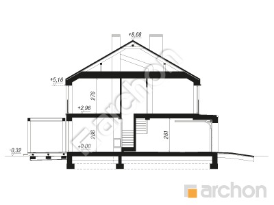 Проєкт будинку ARCHON+ Будинок в нарцисах (Р2Б) Розріз будинку