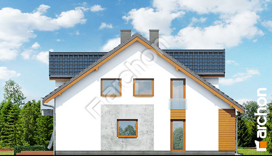 Боковой фасад Дом под гинко (ГР2М)