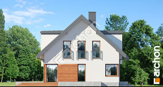 Бочний фасад Будинок в амарилісах 5 (В)