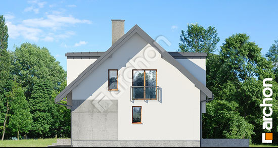 Бочний фасад Будинок в амарилісах 5 (В)