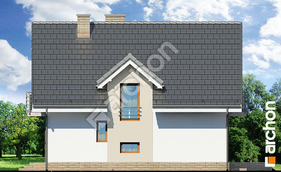 Бочний фасад Будинок в рододендронах 5 (ВПН)