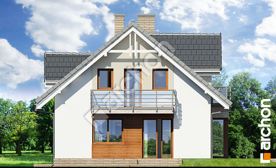 Дворовой фасад Дом в рододендронах 5 (ВПН)