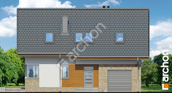 Передний фасад Дом под личи 4