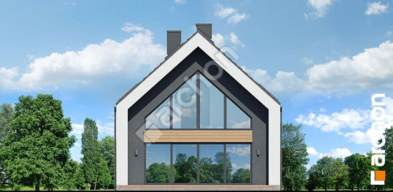 Дворовий фасад Будинок в папаверах 5 (Г)