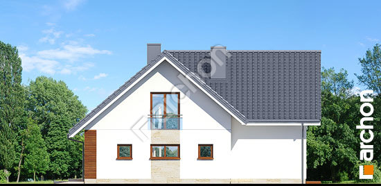 Бочний фасад Будинок в клетрах (Г2)