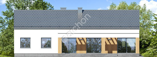 Дворовий фасад Будинок під пінією 2