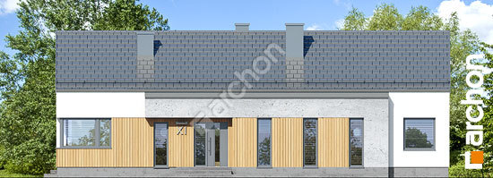 Передній фасад Будинок під пінією 2