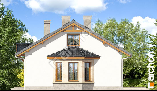 Боковой фасад Дом в ягодах (ПД) вер. 2