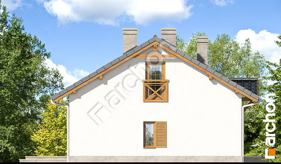 Боковой фасад Дом в ягодах (ПД) вер. 2