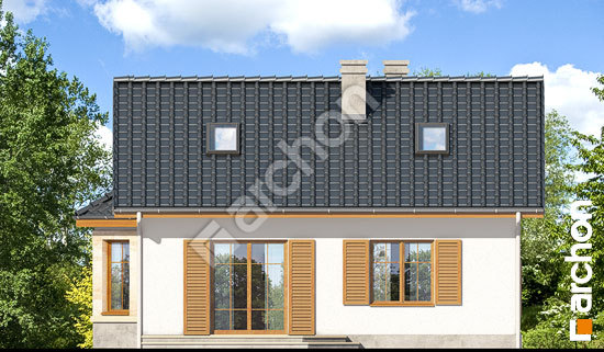 Дворовий фасад Будинок в ягодах (ПД) вер. 2