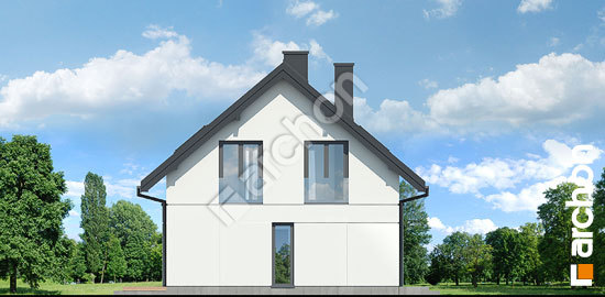 Боковой фасад Дом в шишковиках 7