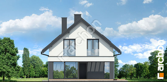 Боковой фасад Дом в шишковиках 7