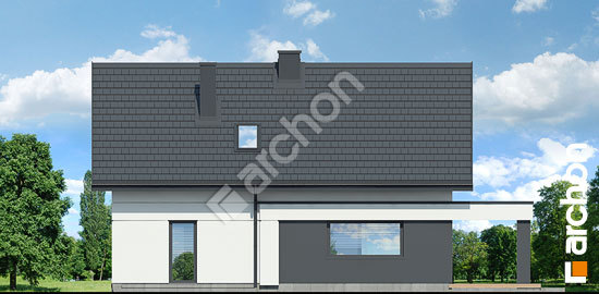 Дворовий фасад Будинок в шишковиках 7