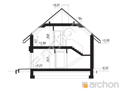 Проєкт будинку ARCHON+ Будинок в шишковиках 7 Розріз будинку