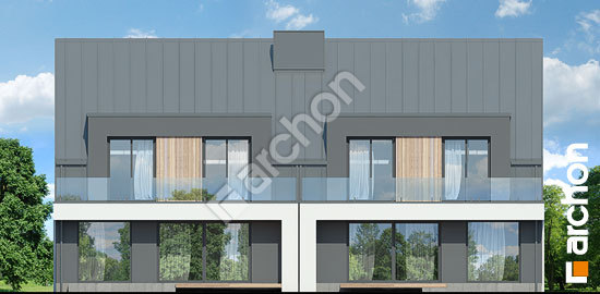 Дворовой фасад Дом в клематисах 29 (Р2)