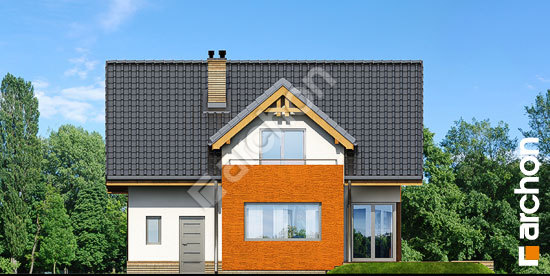 Дворовой фасад Дом под личи вер.2