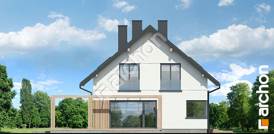 Бочний фасад Будинок в ліліях 2