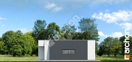 Боковой фасад Дом в пеперомиях (Г)