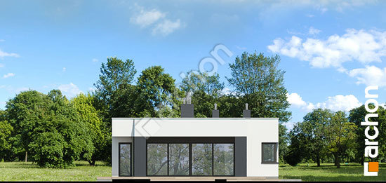 Боковой фасад Дом в пеперомиях (Г)