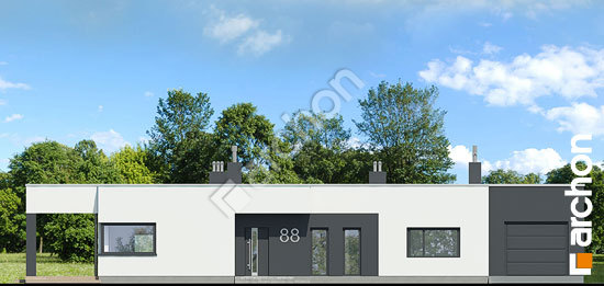 Передний фасад Дом в пеперомиях (Г)