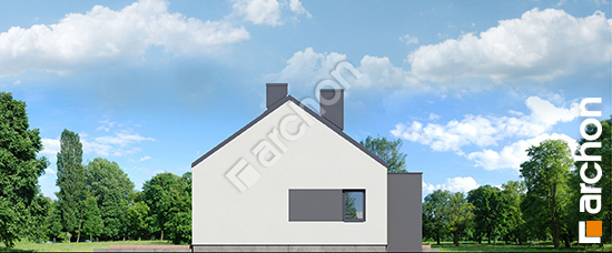 Бочний фасад Будинок в анемонах 2