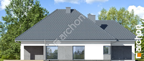 Бочний фасад Будинок в ренклодах 5