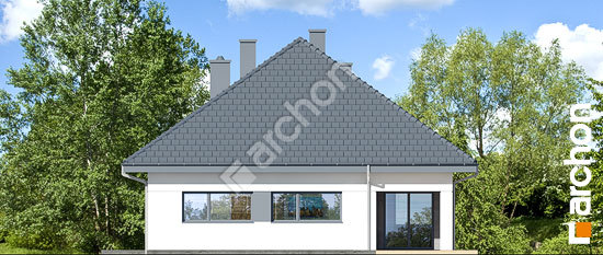 Дворовой фасад Дом в ренклодах 5