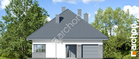 Передній фасад Будинок в ренклодах 5