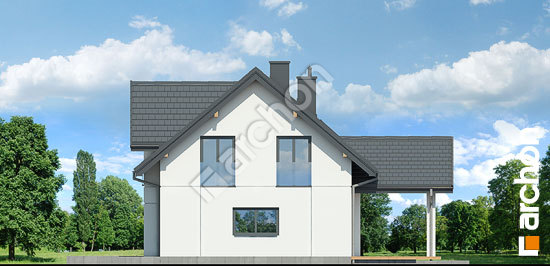 Боковой фасад Дом в стоколосе (Г2)