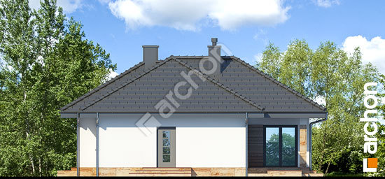 Бочний фасад Будинок в грушках (П)