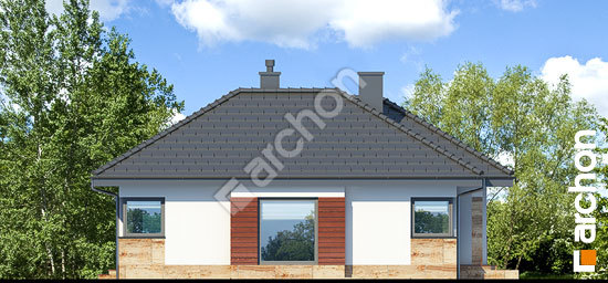 Бочний фасад Будинок в грушках (П)