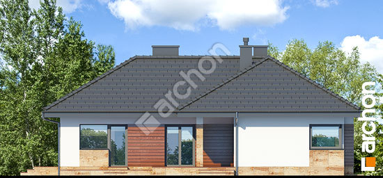 Дворовий фасад Будинок в грушках (П)