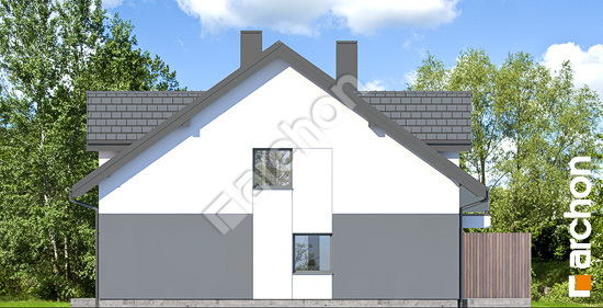 Бочний фасад Будинок під гінко 20 (ГБА)