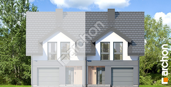 Передний фасад Дом под гинко 20 (ГБА)